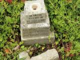 image of grave number 502682